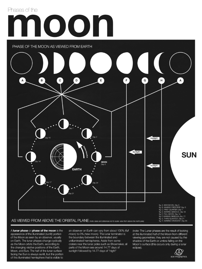 Phases of the Moon infographic by Nick Wiinikka